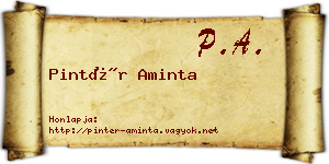 Pintér Aminta névjegykártya